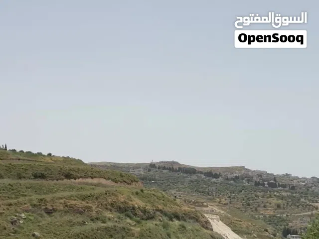 Residential Land for Sale in Nablus Tal Village