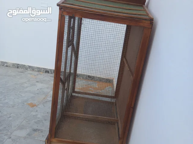 برتي عصفير