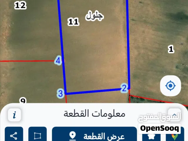 ارض للبيع  في جلول