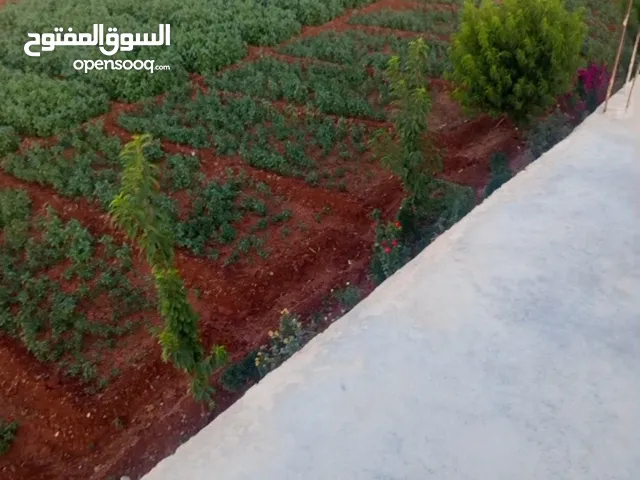 Mixed Use Land for Sale in Hama Other