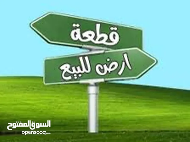Residential Land for Sale in Jericho Al Maghtas