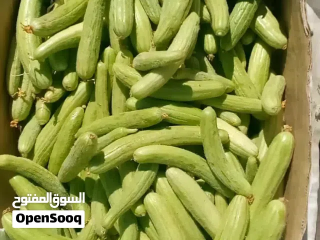 فقوس طازة نخب .35اقرا النص عمان السوق المركزي