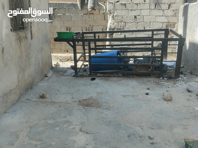 صندوق بينجو 2012