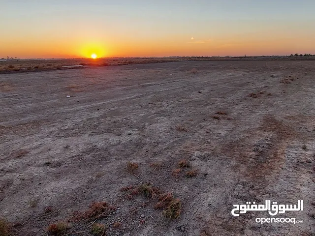 Farm Land for Sale in Baghdad Abu Ghraib