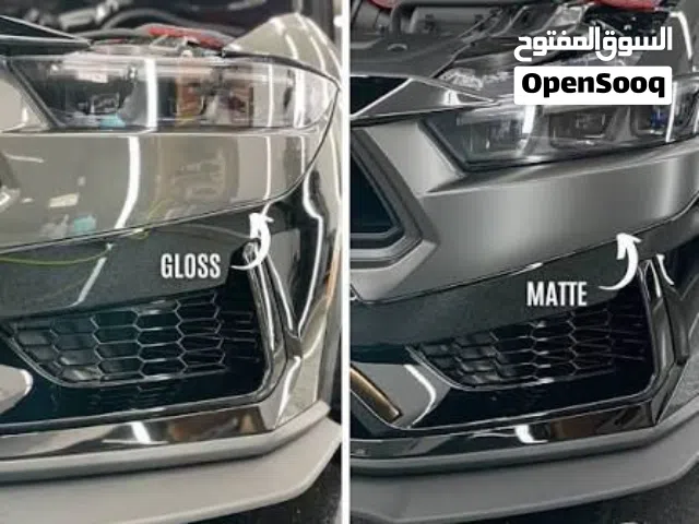 Paint protection & window tinting