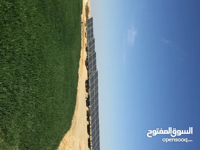 Farm Land for Sale in New Valley Farafra