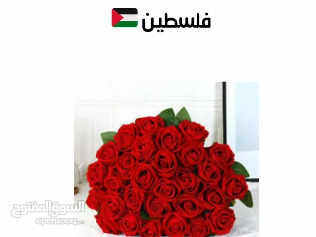 تأليف كتب للبيع عن حياتنا الواقعيه وكيفيه فهم لغات متنوعه وتطوير الذات لنشر الوعي وشرح الواقع المرير