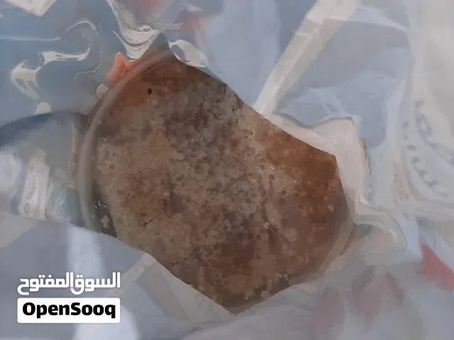 عسل شمع سدر درجه اولى