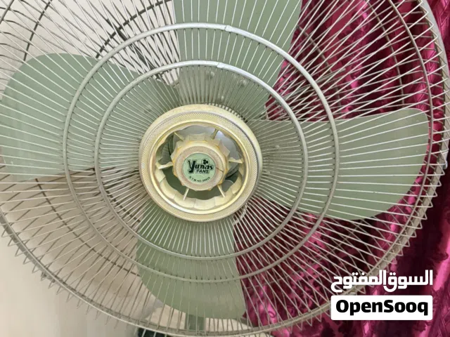 Standing Fan