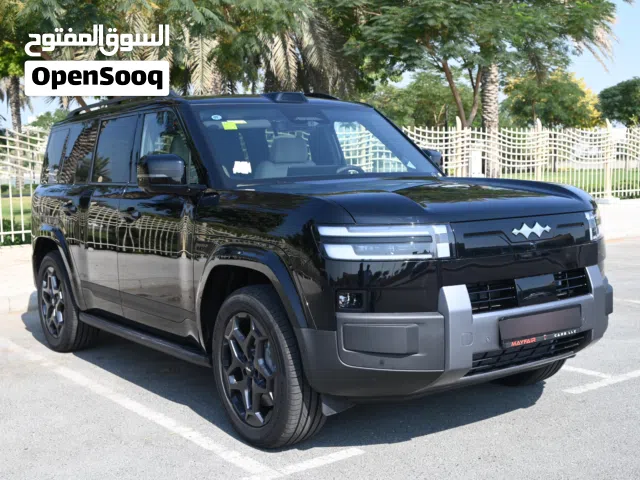 2025, BYD, Leopard 7