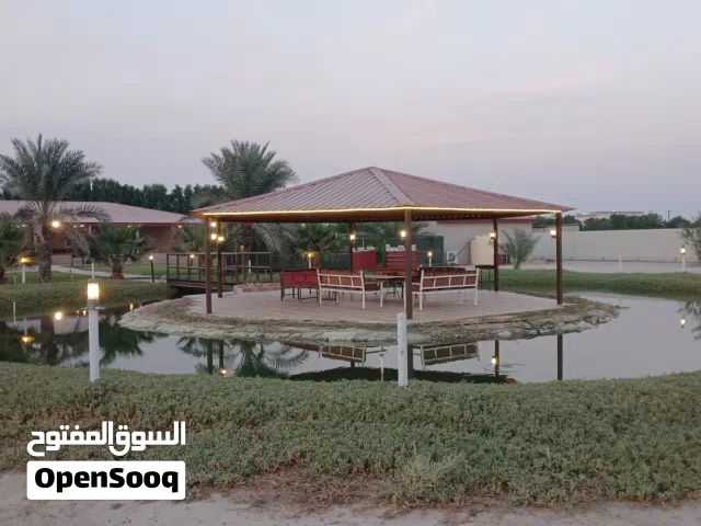 للإيجار اليومي مزارع في الوفرة للعائلات