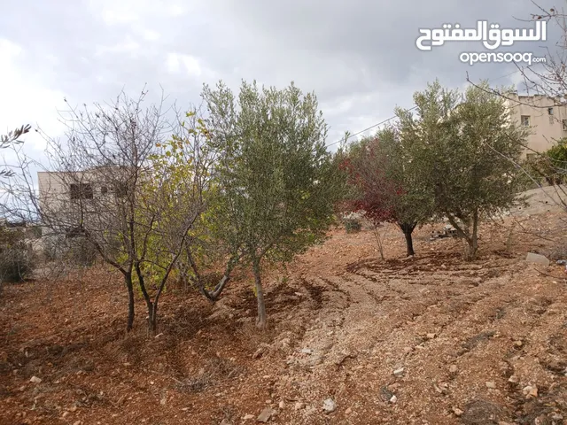 ارض للببع في منطقه ام الشرايط للبيناء 980متر