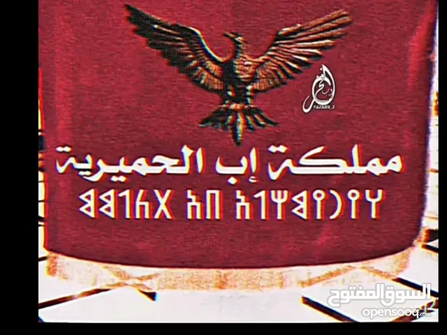 مطلوب شريك تجاري في أي مشروع ناجح (مئة في ال مئة) مستعد اشاركة يكون راس المال نصف ب نصف
