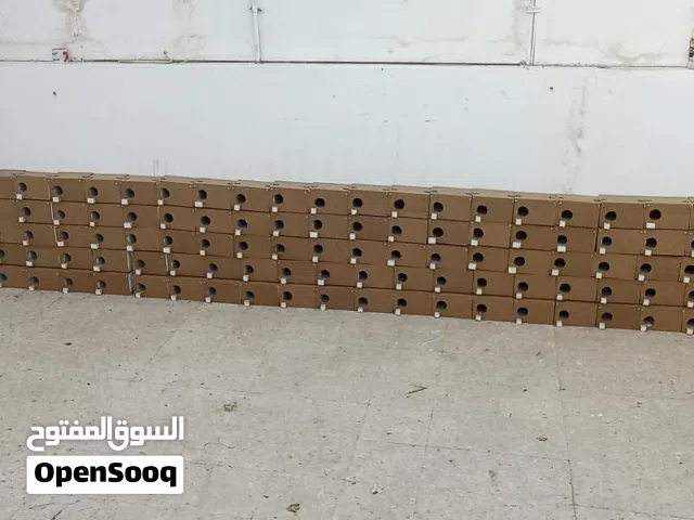 كواخ عصافير جديد للبيع