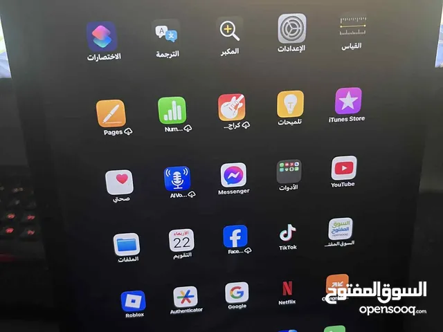 Apple iPad Air 4 64 GB in Amman