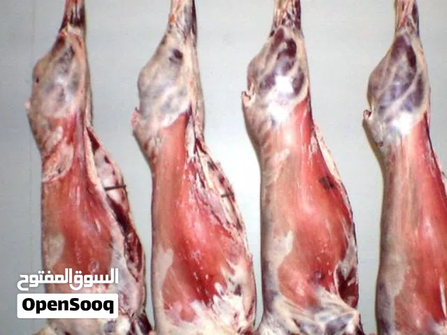 جزار عيد الاضحى نجيك وين ما تكون داخل نطاق طرابلس وجنزور