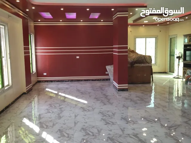 210 m2 3 Bedrooms Apartments for Rent in Cairo Shorouk City