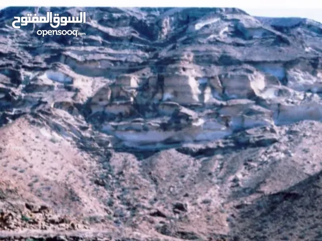 انشاء مصنع الاسمنت 2025 بجودة عالمية و اربح كبيره
