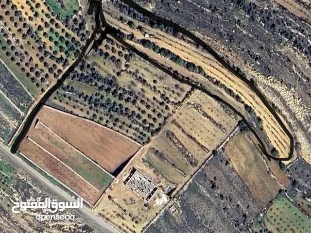 ارض للبيع  الخليل بيت امر  جالا  تنازل من المالك مباشره طابو