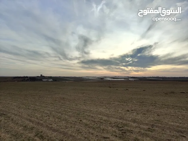 Farm Land for Sale in Amman Zuwayza