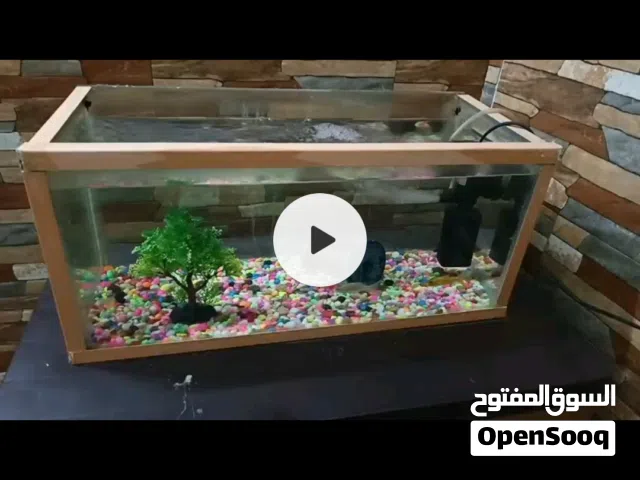 حوض سمك بحاله ممتازه