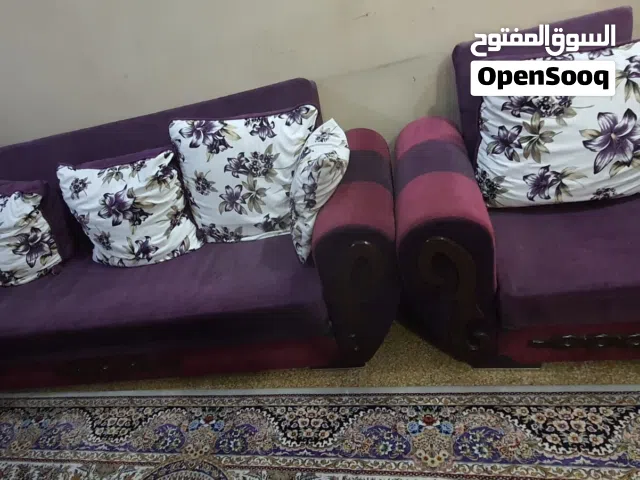 تخم قنفات تركي 10 مقعد