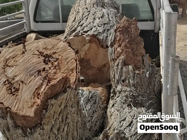 حطب سمر وغاف لتنور
