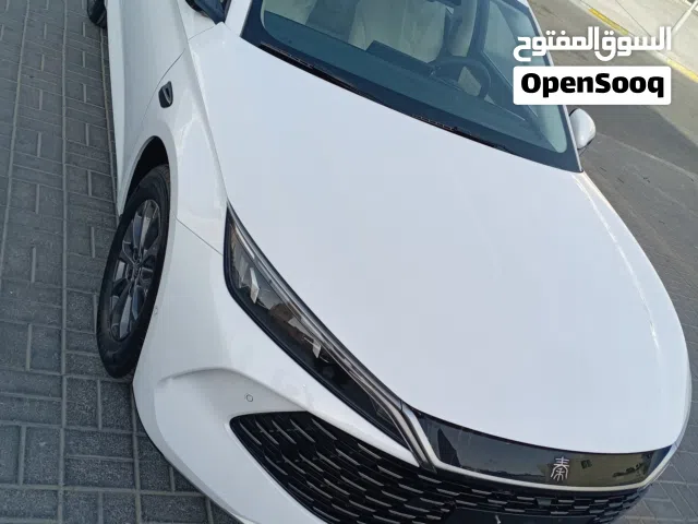 2025 بي واي دي كين