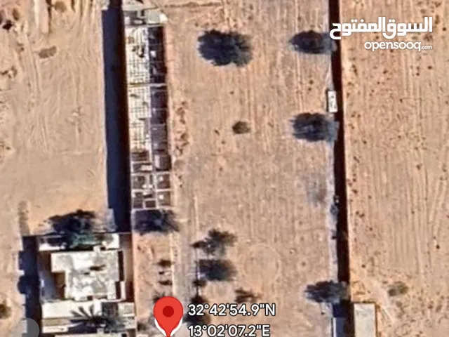 ارض للبيع او الايجار 6000 ميترو في النجيلة