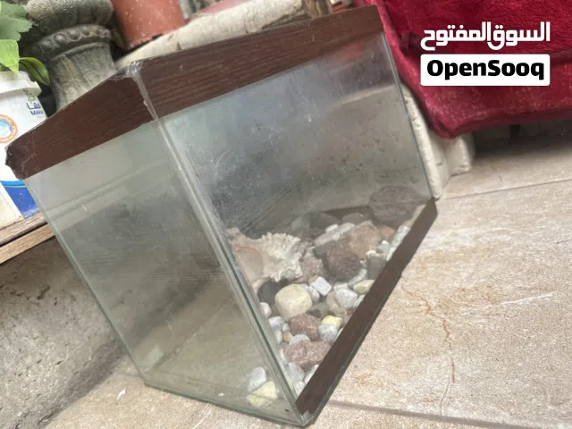 حوض سمك 15