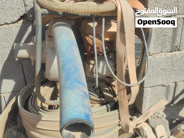 روبن ماي البيع