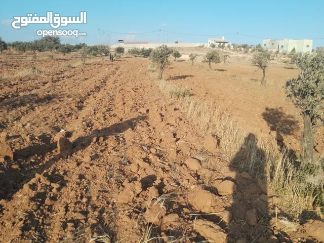 Farm Land for Sale in Mafraq Rhab