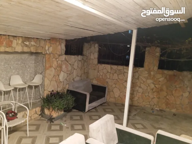 محمد  ابو زيد