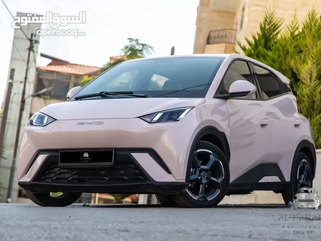 BYD SEAGULL 2023