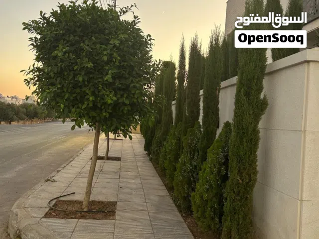 شقه داخل فيلا للايجار