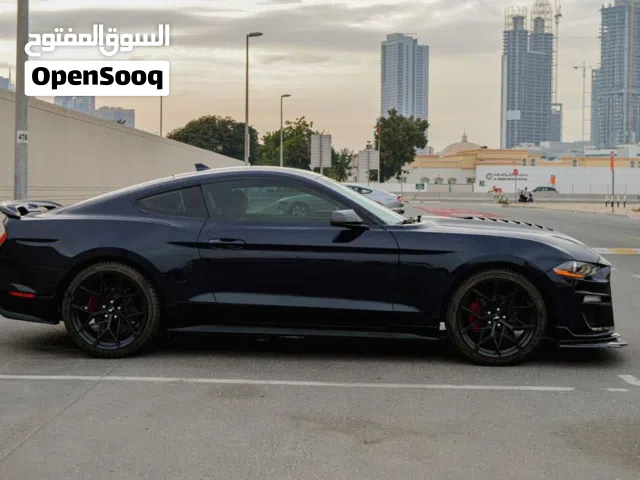 فورد موستنج شيلبي v6 2021  للايجار اليومي والشهري والاسبوعي