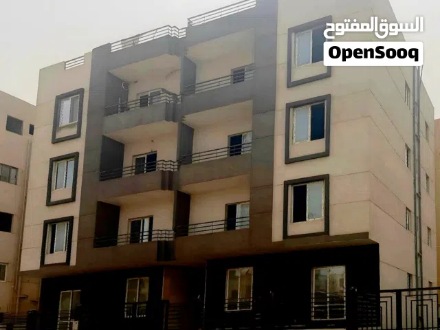 نصف عماره في التجمع الخامس - القاهره