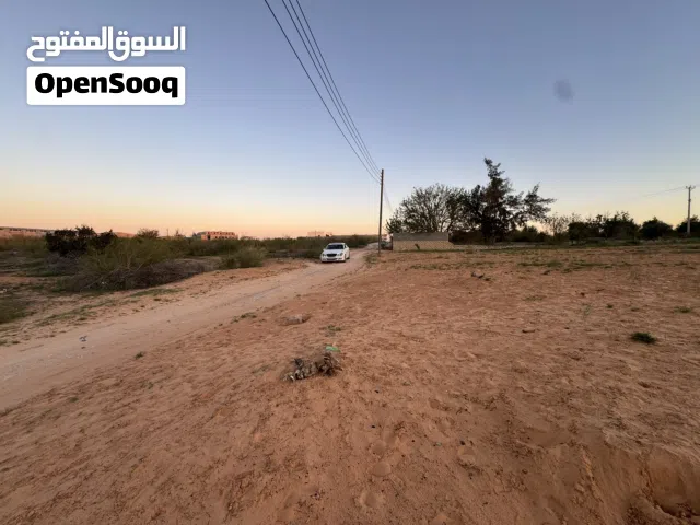 ارض مساحته 3000ميترو ارض فيه شجره فقط موقع موسه كوسه شارع غار في نهايته تقدرتخشله مجهت سريع ودي ربيع