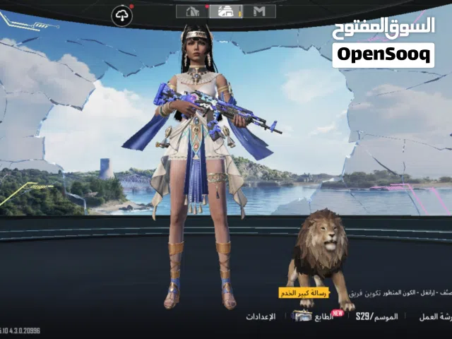 حساب ببجي للبيع