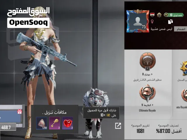 Pubg Accounts and Characters for Sale in Baghdad