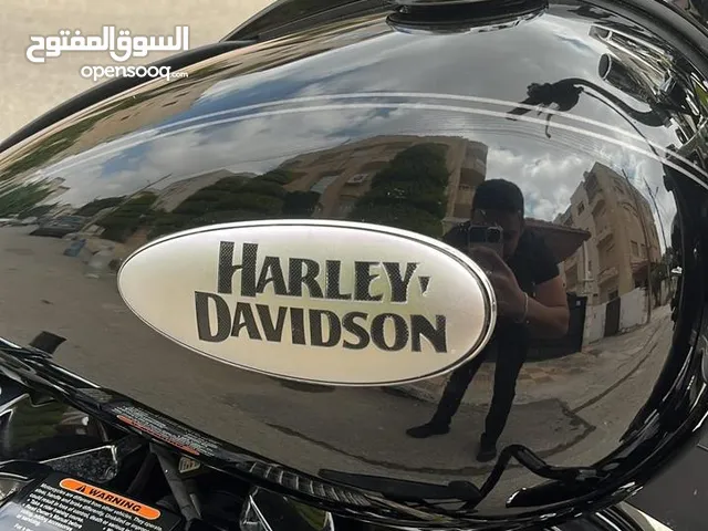 Harley Classic Heritage  Model 2021