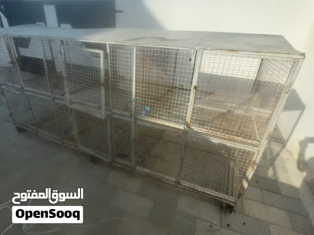 فقص اصافير للبيع