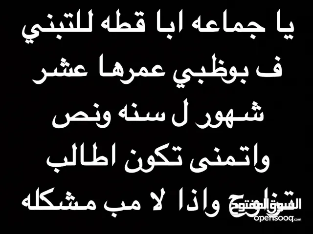ابا قطه للتبني
