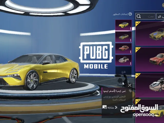 Pubg Accounts and Characters for Sale in Salfit