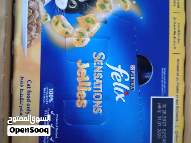 اكل قطط بنكهات الدجاج و السبانخ