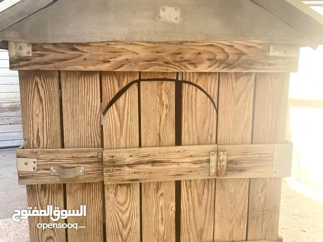 بيت كلب  خارجي مساحته جيدة جدًا لكلاب كبيرة