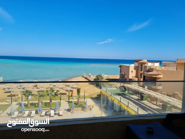 Furnished Daily in Hurghada Other