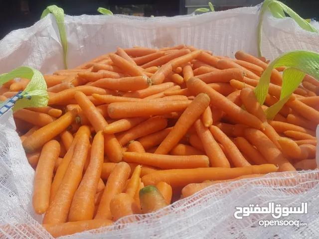 Fresh Carrots