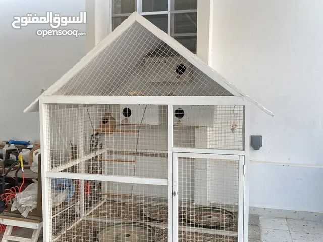 قفص للطيور جميل جداً