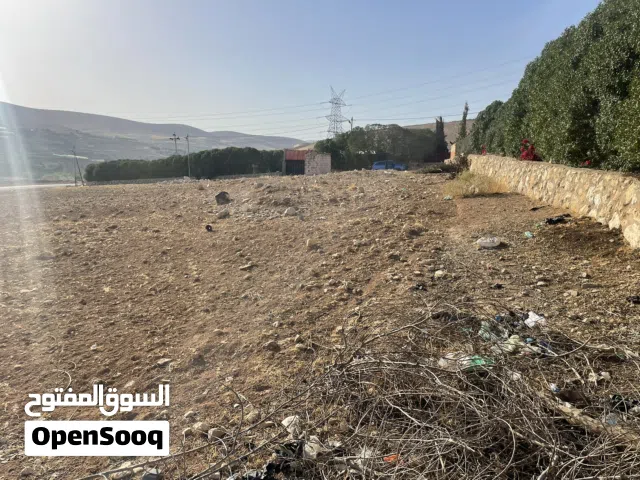 Mixed Use Land for Sale in Amman Birayn
